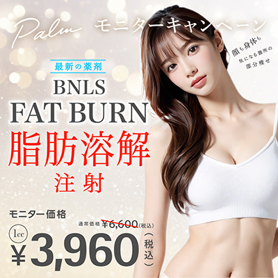 240924_palm_MCP_burn